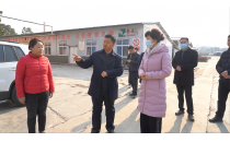 西鄉(xiāng)縣委副書記、縣長王亞珍調(diào)研農(nóng)業(yè)產(chǎn)業(yè)發(fā)展工作